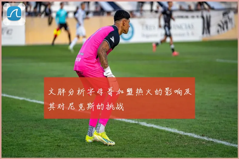 文胖分析字母哥加盟热火的影响及其对尼克斯的挑战