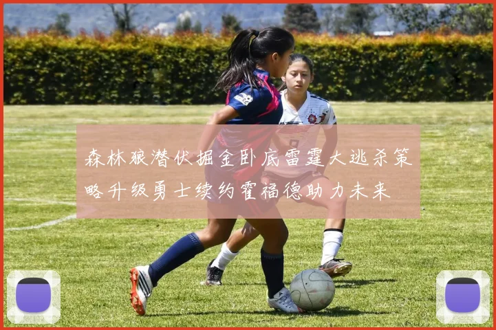 森林狼潜伏掘金卧底雷霆大逃杀策略升级勇士续约霍福德助力未来